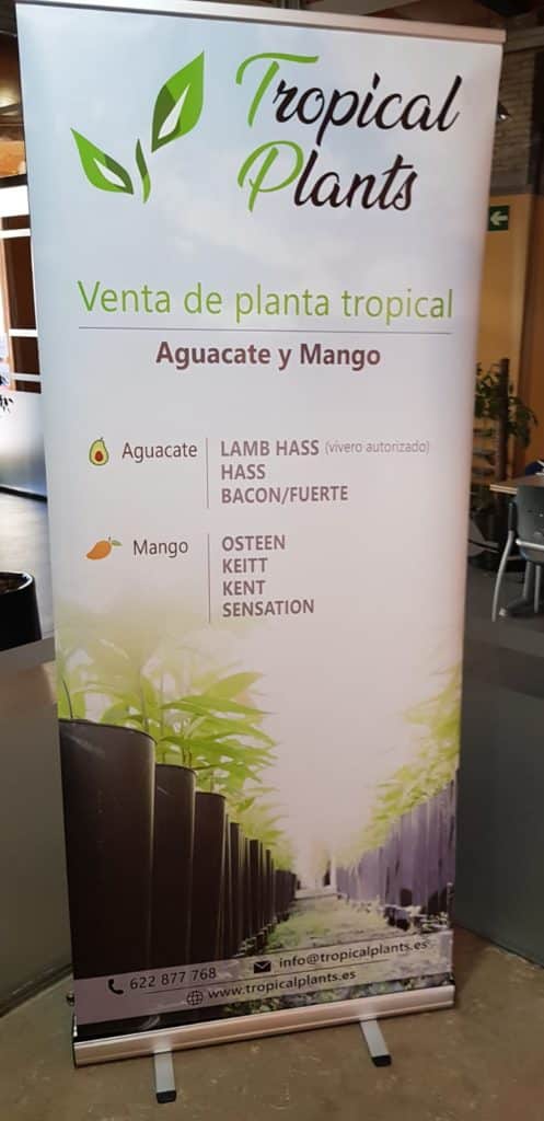 Jornads del Aguacate Tropical-Plants