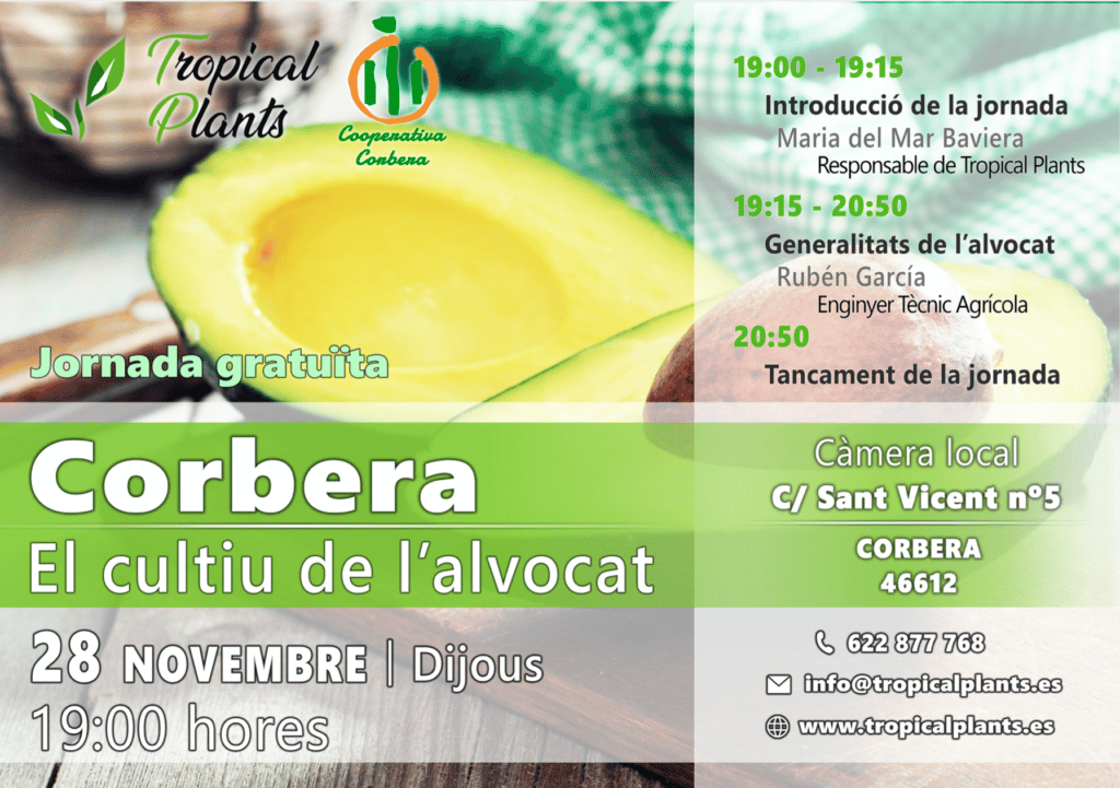 Jornada del aguacate -Corbera